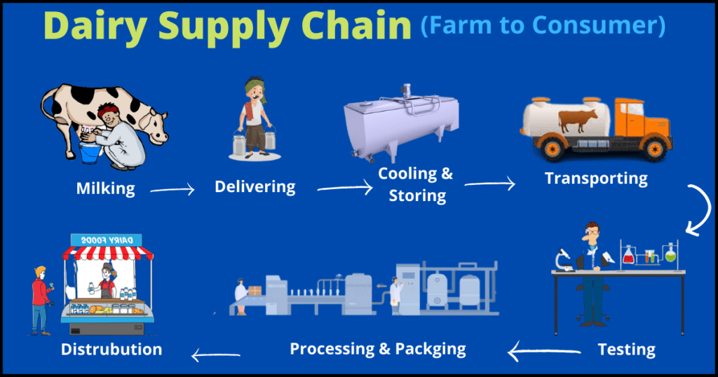 Milk Supply Chain