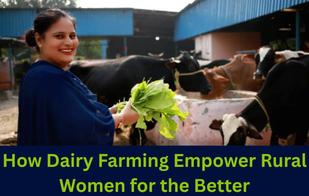 How Dairy Farming Empower Rural Women for the Better