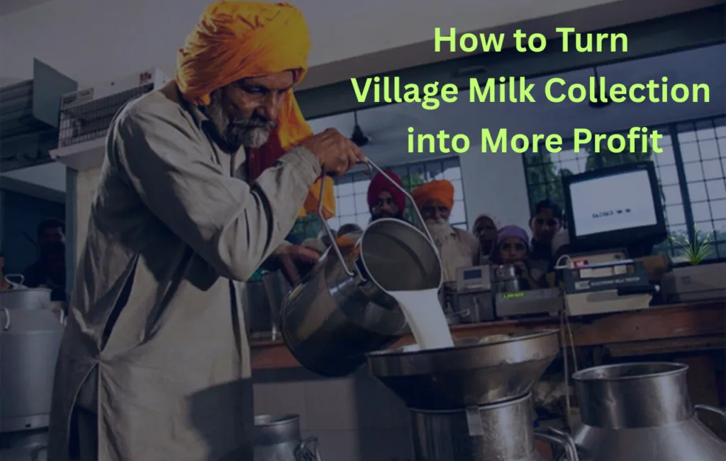 How to Turn Village Milk Collection into More Profit